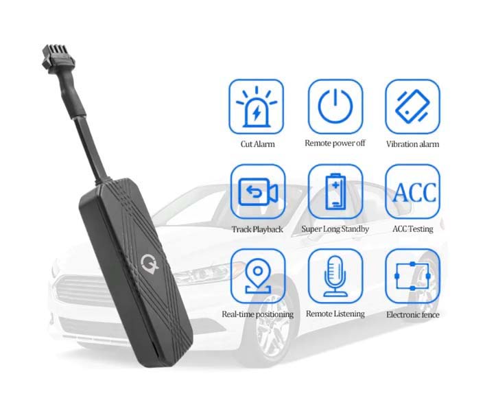 Our professional team